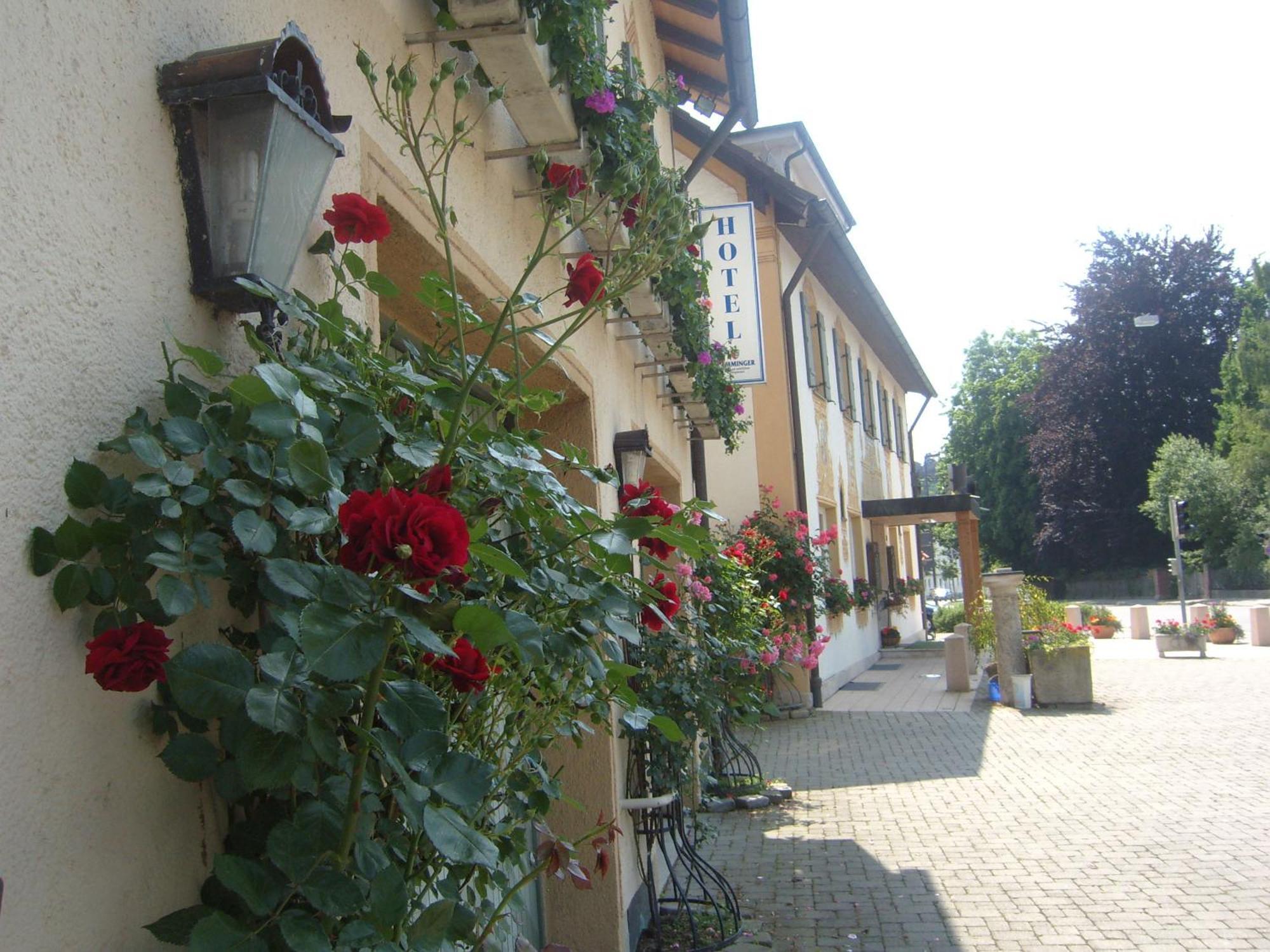 Hotel Gasthof Stern Миндельхайм Экстерьер фото